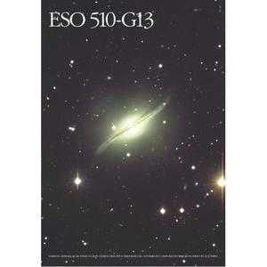 ESO 510-G13